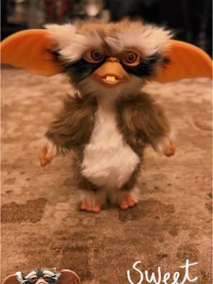 @Trick or Treat Studios Gremlins 2 The New Batch Deluxe Lenny Mogwai Prop. #gremlins2 #gremlins #lennymogwai #lennygremlins2 #propreplica #movies #the90s #trickortreatstudios #gremlin #fyp #trending #fypシ #creature #donotfeedaftermidnight #donotgetwet #avoidbrightlights 