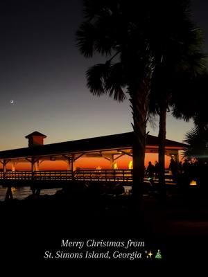 Spreading holiday cheer from St. Simons Island! ✨🎄 #goldenisles #stsimonsisland #exploregeorgia #christmas 