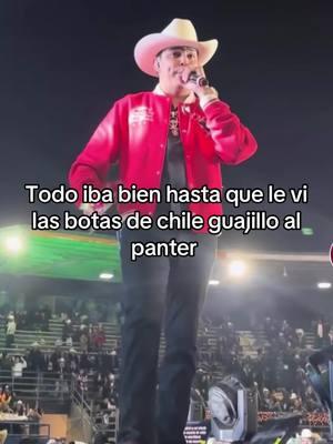 Como las que tenía mi ex 😅 #hazquevalgacadadia #fyp #fypシ #viralvideo #panterbelico #panter #chileguajillo 