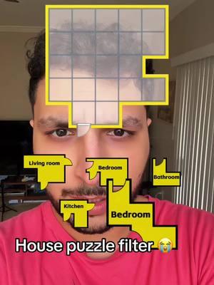 House puzzle filter is so hard 😭 #house #puzzle #filter #game #filterchallenge 