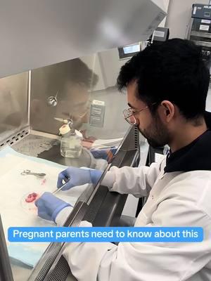 #anjahealth #cordbloodbanking #cordtissuebanking #placentabanking #pregnant #fyp 