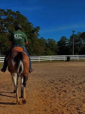 Gearing up for 2025 ✨ #horsesoftiktok #barntalk #motivation 