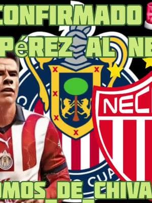 🚨CONFIRMADO PAVEL PÉREZ ES NUEVO JUGADOR DE LOS RAYOS DEL NECAXA🚨 #chivas #chivasdelguadalajara #chivasfemenil #chivas_mx #chivasdecorazon #rebañosagrado #dalerebaño #futbol #futbol⚽️ #ligamx #ligamexicana #ligabbvamx #chicharito #futbolpicante #reels #reelsinstagram #instagram #facebook #tiktok #reels__tiktok #viral #viraltiktok #explore #explorepage #explorepage✨ #parati #paratii #paratiiiiiiiiiiiiiiiiiiiiiiiiiiiiiii #foryou #foryourpage #gol #golazo #viral #viralvideo #instagram #instaxchallenge 