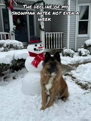 It was so perfect 🥹🥹 #snow #snowman #snowball #dog #michigan #grandhaven #foryou #foryourpage #gift #present #christmas #foryoupage #trending #funnyvideo #merrychristmas #snowday 