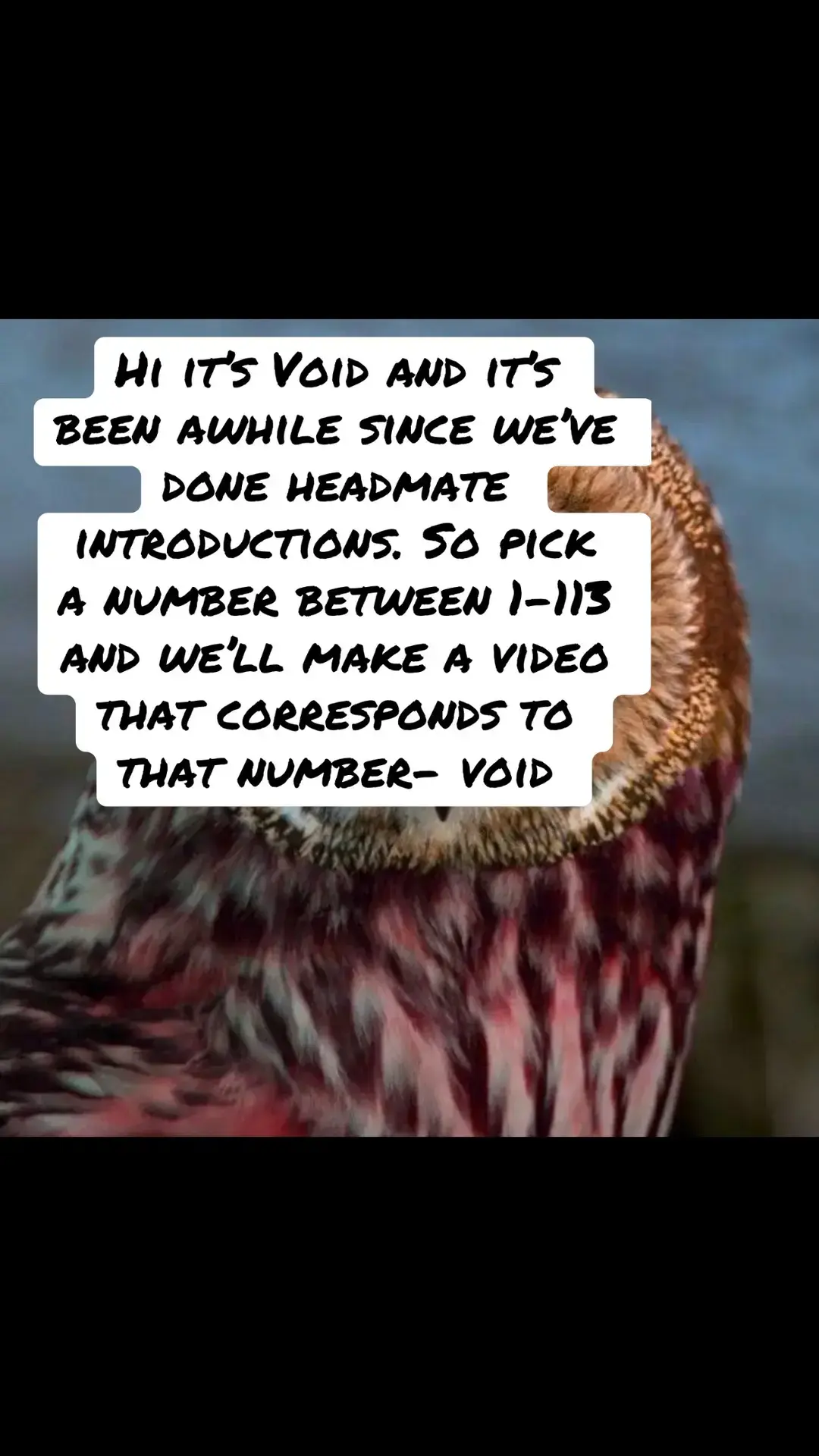 Hey it’s been awhile since we’ve done headmate introductions- void  #owletcollective #owletsystem #didsystem #avengerssystem #flowersystem #rainbowsystem #galaxiessystem #pumpkinpatchcouncil #sealifesystem #crystalsystem #systemtok #headmateintro #pickanumber #mushroomcollective #void #didsys 