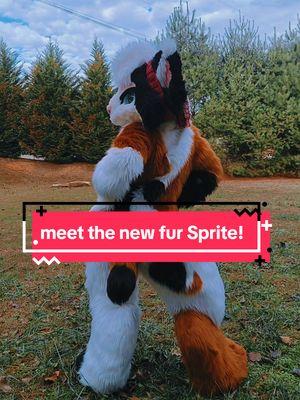 I want everyone to meet Sprite! she was sold to me from @Garbage_fur_sure im beyond thankful for getting this suit and cheers to her new adventures! tags: #countryfurry #furrytiktok #furryfandom #furriesoftiktok #crazycatmom #fursuiter #dancetrend #hipdance