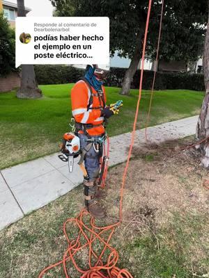 Respuesta a @Dearbolenarbol #ramborista #ramboristasplice #ramboristastyle #stihlprofetional #stihlms200t #treework #teamwork #siempreseguro #soloelusodeexpertos #staysafe #alwayssafe 