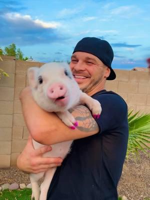 When it ALL started! A few of my lil’ pig-ster, Daisy’s, first ever famous lip lickin’ videos! 🤣🐽❤️ @Marcus Tinsley @jaceytinsley  #pigs #animalsoftiktok #babyanimals #waitforit #asmrsounds #vegan 