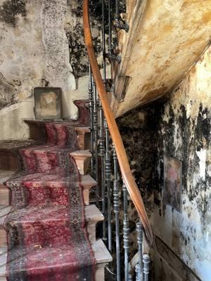 Abandoned house in France overtaken by black mold 😷🇫🇷 #abandoned #urbex #creepy #exploring 