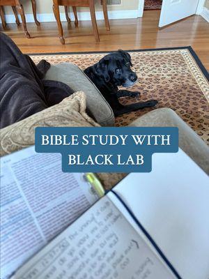 He’s trying to absorb all of God’s word 🥹🥲✝️ #quiettime #biblestudy #blacklab #labrador 