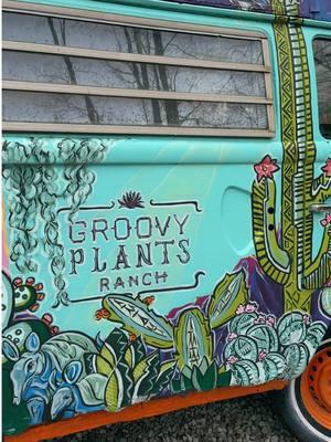 Welcome to Groovy Plants Ranch, every plant lover's haven.🪴☮️  #gardening #planttok🌱 #groovyplants #groovyplantsranch #familybusiness #plantsoftiktok #hippietok #crystals #fossils 