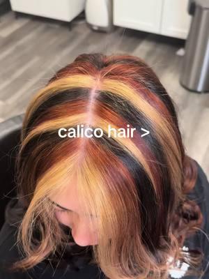 Calico hair 🐈🧡🤎🖤🎀🫦🎁 #calicohair #calico #hairstylist #chunkyhighlights #stripedhair #stripehighlights #skunkhair #styling #softihair #hairtok #gingercopper #gingerhair #blowouttutorial #tutorial 