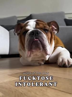 Word of the day, part 2 💩 Credit: @Doubletroubullies  . . . . . . . . #englishbulldoglover #englishbulldogpuppy #bulldog #englishoftiktok #englishbulldogsoftiktok❤️👑 #englishbulldogpuppiesoftiktok #englishbulldogsoftiktok #bulldogoftiktokbulldog #englishbulldogsoftiktok❤️ #englishbulldogs #englishbulldoglove #englishbulldoglovers #englishbulldogpuppie #englishoftheday #bulldogsoftiktok 