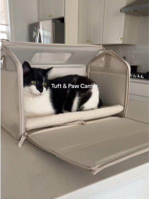 Treat your cats with this cat carrier from @Tuft & Paw It’s on sale now! #catsoftiktok #cat #catcarrier