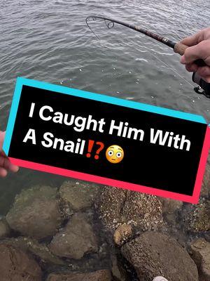 Retracting Snail Munchers> Opening Christmas Gifts #bassbanshee #fishing #saltwaterfishing #oceanfishing #beachfishing #sheepshead #snapper #fish #fishinglife #fishingtiktoks #fishingrod #fishingreel #fishtok 