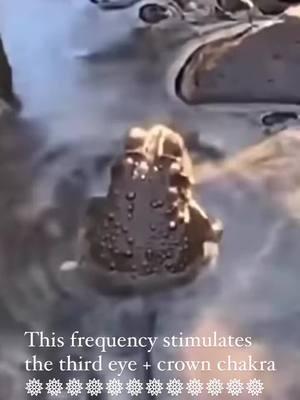 #soundfrequencies #toad #frequency 