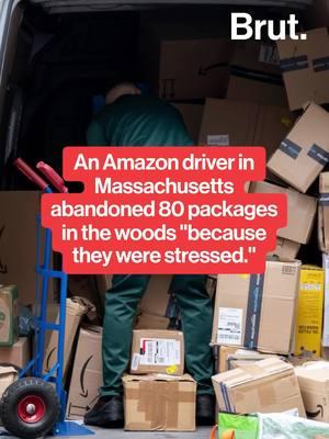 An Amazon driver in Massachusetts abandoned 80 packages in the woods "because they were stressed." #Amazon #Delivery #AmazonDelivery #Packages #Presents