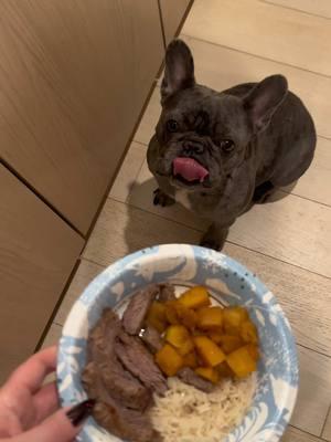 I made steak, honey glazed squash and rice for their Christmas dinner #homecookeddogfood #frenchie #dogmom #cooking