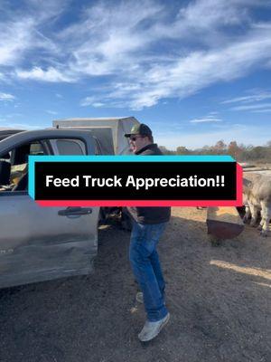 Had to show the feed truck some love!! #fyp #willmeadows #meadowslivestock #wellfolks #feedtruck #alabama #superiorstandard @SuperiorSteelSales @AG-GEAR 