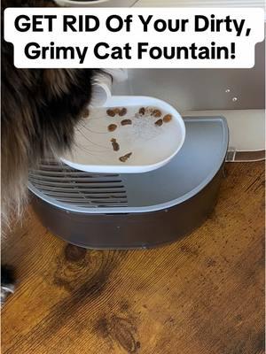 It is time to get a cat fountain that doesn’t need a filter and will stay clean 🤗 #cat #catsoftiktok #cattok #catfountain #petfountain #catwaterfountain #catdrinkingwater #cattips #smartpetfountain #catowner #tiktokshopfinds #newyearnewaura #mademyyear #fyp 