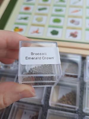 perfect for beginner gardeners or anyone looking to try to grow some things they haven't tried to before appropriate for their grow zone. #gardentok #seedbank #seedstarting #growyourownfood #kitchengarden #selfsufficient #homesteading #gardening #veggies 