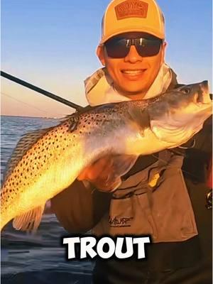 Wade Fishing for 🐊 Trout!  #texasfishing#wadefishing#speckledtrout#corpuschristi#bigfish#catchandrelease @BattleBornRodz 2.0 