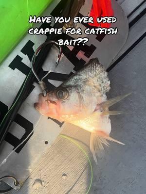 have you ever used crappie for bait?? #catchthefever #ctfnation #nextlevel #premiumgear #angler #fisherman #fishtok #catfishing 