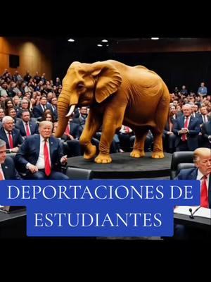 deportaciones a estudiantes #news #todaynews #usanews🇺🇸 #trumpnews #trump #boder #undocumentedimmigrants 