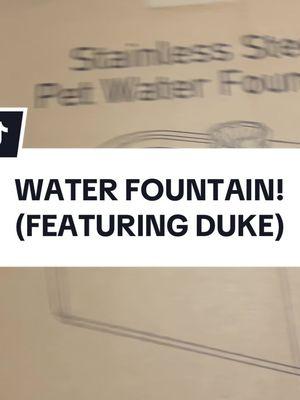Duke has always loved drinking out of sinks and hoses. This helps him accomplish his dreams!!#puttystudy #doggifts #doggift #christmas #christmasgifts #boxer #boxers #boxerdog @Innovative pet products 