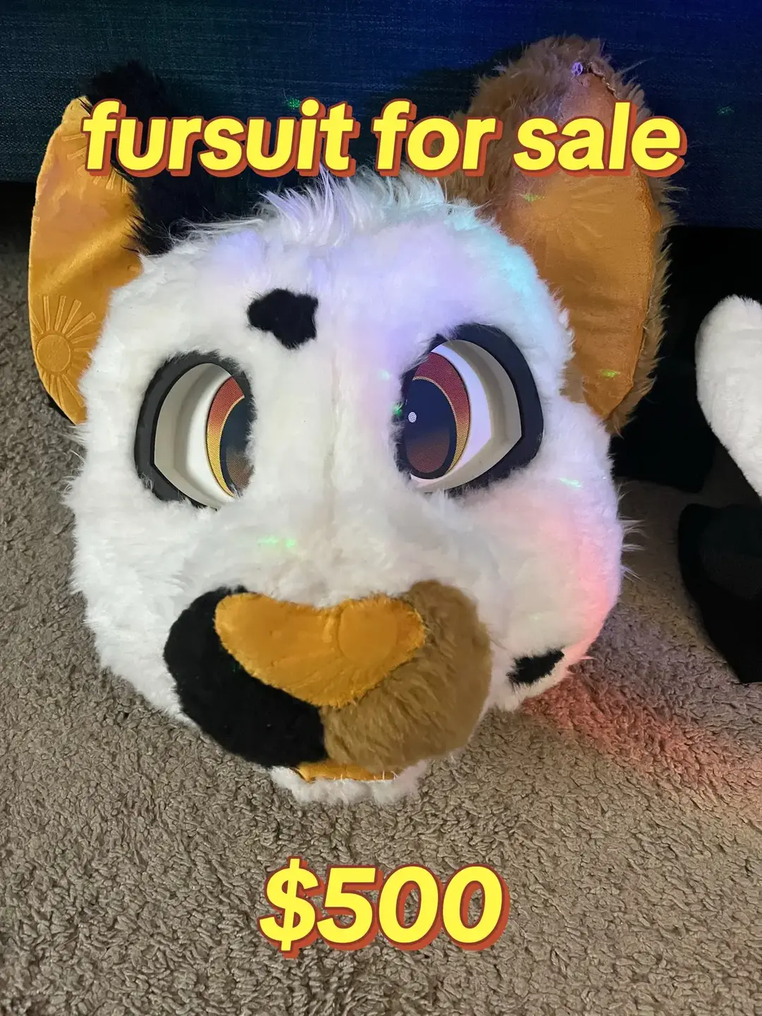 its a little smaller at around 22 inches but hopefully someone with a smaller head is looking 🤞 #furry #furrysale #furryyardsale #fursuitsale #fursuityardsale #fursuit #fursuits 