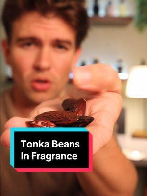 Tonka Beans , Educate yourself on the materials used in your fragrances. #tonka #perfumetok #cologne #tonkabean #fragrance #fragranceknowledge 