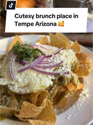 One thing about me, I will alwaysssss order the chilaquiles 😛‼️ #tempefood #tempeeats #tempefoodie #phoenixfood #phoenixeats #phoenixrestaurants #temperestaurants #phxrestaurant #brunchspot #brunchplaces #bestfoodphoenix 