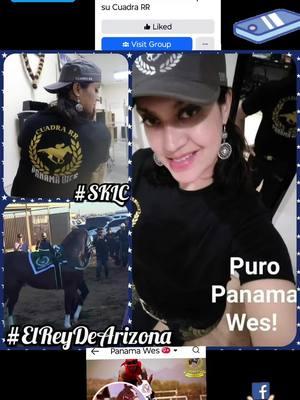 PANAMÁ WES POR SIEMPRE 🏇💨💚🕊#panamawes🏇💨👑🏜 #panamawes #elreydearizona🏇💨👑🏜💚 #parejeras #caballosdecarreras #horseracing #fyp #foryou #foryoupage #trending #paratiiiiiiiiiiiiiiiiiiiiiiiiiiiiiii #fypシ゚viral #horses #caballos #creadoradecontenidodecaballos #shakaloza #shakalozachikagopromotions🐴⚜️🏇 #caballosdecarreras🐎🐴💯 