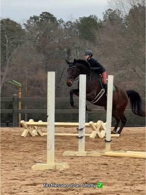 not featured me repeating “be brave” to myself with that hand gallop to right turn after the xrail #horsejumping #horsejump #horselesson #horserider #horseriding #horses #foru #forupage #fyp #fypシ #fypシ゚viral 