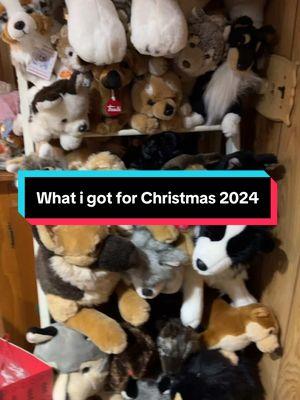 #primeshiba #wolflover #collectionroom #plushcollector #stuffedanimals #doglover #wolfdog #wolfgirl #akitas237 #plushcollection #plush #dogplush #plushcommunity #plushtok #husky 