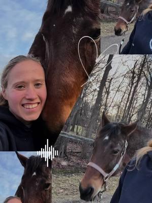 Torque man! This is a once in a life time horse you won’t find twice❤️ #countrygirl #farmlife #barngirl #lifestooshort #fypシ゚viral #horsesoftiktok #specialhorsesoftiktok 