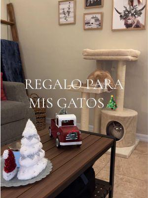 Quedó perfecto en la sala y les gusto mucho! 🥰 #gatos #gato #gatito #gatitos #regalo #regalos #navidad #feliznavidad #cattree #juguete #juego #decoracion #paratiiiiiiiiiiiiiiiiiiiiiiiiiiiiiii 