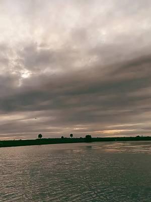 #realflorida #swamplife #birdsoftiktok #birdnerd #wildlife #fyp #naturelover #winter #floridawinter #daydrive #hello #thursdayvibes 