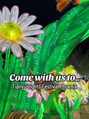 This was MAGICAL! Tianyu Lights Festival Phoenix is a MUST! #fyp #christmas #familytime #lightfestival #lightevent #holidayactivities 