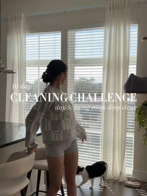 10 day cleaning challenge 🧼💫 ~ day 5: living room deep clean 🛋️ time to get a new tv in 2025 🥹 #Home #cleaning #homecleaning #livingroom #couch #sofa #cloudcouch #newyearcleaning #newyearnewme #2025 #interior #cleaningmotivation #CleanTok #cleaningchallenge #challenge #interiordecor #homeinspo #motivation #wellness #productivity #inspiration #cleanhome #deepclean #tvsetup 