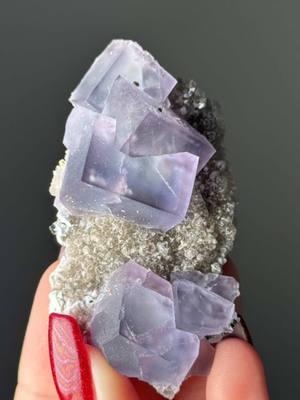 Whats your favorite here?!? #fluorite #fluoritecrystal #crystals #crystaltok #crystalshop #coolcrystals #rocksandminerals 