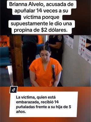 Brianna Alvelo enfrenta cargos de intento de homicidio, secuestro e invasión a la propiedad. El motivo? Que una clienta le habría dado $2 dólares de propina cuando le llevó una pizza a domicilio. #eeuu #eeuu🇺🇸 #florida #california #texas #illinois #chicago #wisconsin #miami #nyc #ny #pizza 