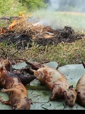 Mouse Recipe 🐭🔥🪵🌲🏕️ #outdoorcooking #nature #recipes #camping #vole 