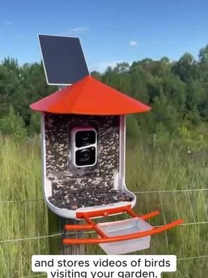 🌿📹 Get closer to nature and make every bird your model! #smartbirdfeeder #birdphotography#SmartBirdFeeder#BirdWatchingTech#PetBirdTech#BackyardBirding#WildlifeObservation#NatureTech#BirdFeederCamera#SmartHomeForBirds