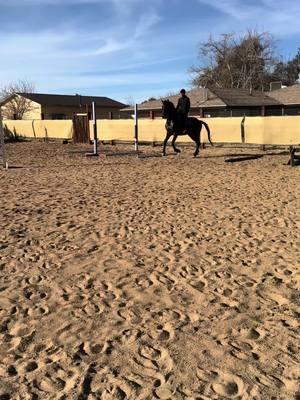 Con un PRE🐴 , una de mis mayores pruebas pero acá vamos poco a poquito 💪🔥#caballos #fyp #mundo #viral #pocoapoco #altaescuela 