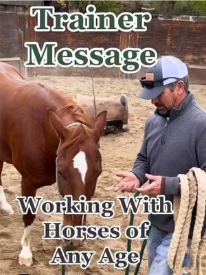 As Colt Starting Season continues…. and with Training a Horse throughout its career… remember BOTH sides  #mankinsperformancehorses  #riding #horses #trraining a #horse #coltstarting #desensitizing #show #horsetok #horsesoftiktok #reining #cowhorse #showhorse #equine #horsevideo #fypシ #colts #tips #funny #memes #rodeo #ranch #versatility #cowboy #western #horsemanship #horseriding  