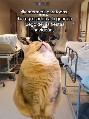 #MemeCut #memenatal ❄️🤣🏥 tu regresando a la guardia luego de la fiestas navideñas 🏥😂  #enfermeriaparatodos #enfermeria #humorenfermero #humorenfermeria #humortiktok 