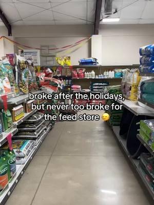 Never too broke to spend money on my horse 💸 #horseowner #horsepeople #horsehumor #feedstore #horsenutrition #horsesupplements 