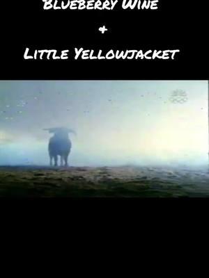 Spotlight video on Blueberry Wine and Little Yellowjacket  when they were retired from professional competition. #oldschool #vintage #rodeo #bullriding #champions #worldchampion #buckingbulls #bucking #bull #bulls #fypage #foryoupage #foryou 