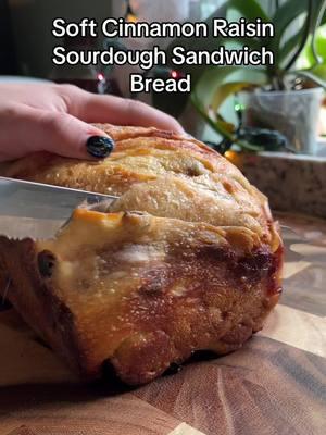 Soft cinnamon raisin sourdough sandwich bread. Let me know if you want the recipe! #sourdough #sourdoughtok #sourdoughtiktok #sourdoughbread #sourdoughstarter #sourdoughclub #sourdoughasmr #sourdoughcrunch #sourdoughtok #cinnamonraisinsourdough 